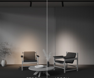 Трековый светильник Technical TR198-3-20W2.7K-Z-B