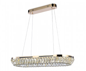 TR5025 FGD/CL золото/прозрачный 3000K/4200K/6400K 61W 800*300*440 (Без ПДУ)