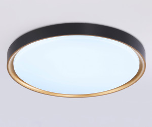 FZ1249 BK/GD черный/золото IP54 45W 5000K D480*60 (Без ПДУ)