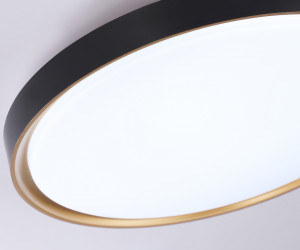 FZ1249 BK/GD черный/золото IP54 45W 5000K D480*60 (Без ПДУ)