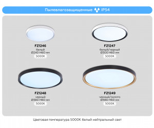 FZ1249 BK/GD черный/золото IP54 45W 5000K D480*60 (Без ПДУ)