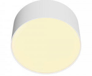 Потолочный светильник Technical C032CL-12W2.7K-RD-W