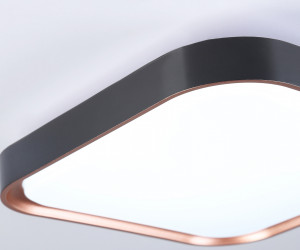 FZ1265 BK/PGD черный/золото розовое 18W 5000K 250*250*60 (Без ПДУ)