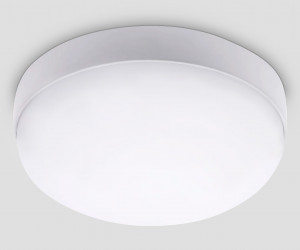 ST8631 WH белый IP65 LED 4200K 20W D170*60
