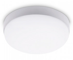 ST8631 WH белый IP65 LED 4200K 20W D170*60