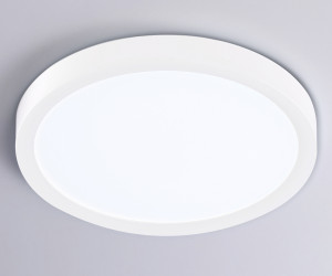 FZ1901 WH белый IP54 13W 3000K-6500K CCT-переключатель D230*25 (Без ПДУ)