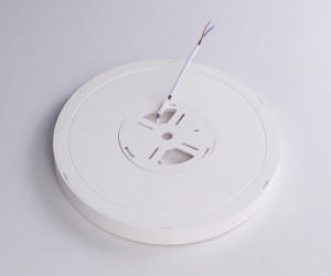 FZ1901 WH белый IP54 13W 3000K-6500K CCT-переключатель D230*25 (Без ПДУ)