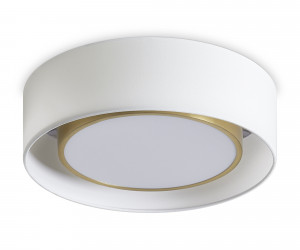 Потолочный светильник Freya FR6170CL-L52BS