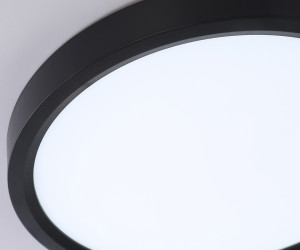 FZ1902 BK черный IP54 13W 3000K-6500K CCT-переключатель D230*25 (Без ПДУ)