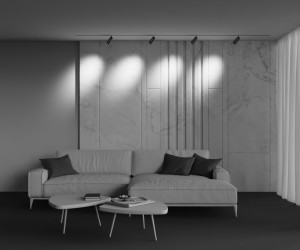 Трековый светильник Technical TR212-4-12WTW-DD2-Z-B