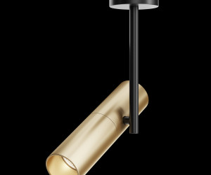 Потолочный светильник Technical C020CL-01GB