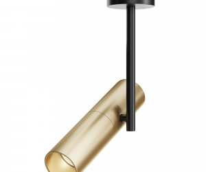 Потолочный светильник Technical C020CL-01GB