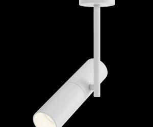 Потолочный светильник Technical C020CL-01W