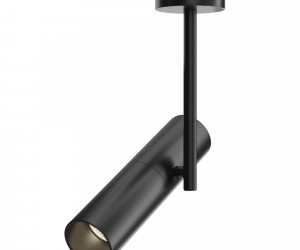 Потолочный светильник Technical C020CL-01B