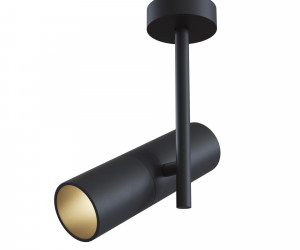 Потолочный светильник Technical C020CL-01B