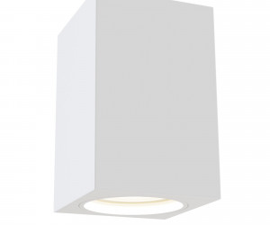 Потолочный светильник Technical C011CL-01W