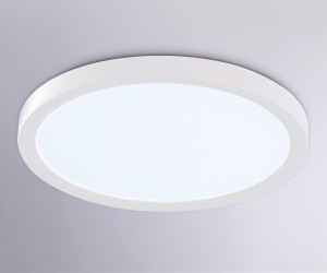 FZ1903 WH белый IP54 20W 3000K-6500K CCT-переключатель D300*25 (Без ПДУ)