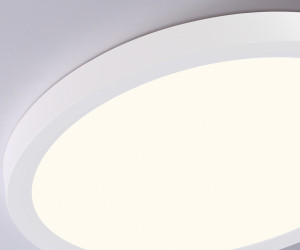 FZ1903 WH белый IP54 20W 3000K-6500K CCT-переключатель D300*25 (Без ПДУ)