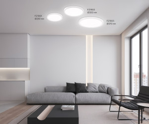 FZ1903 WH белый IP54 20W 3000K-6500K CCT-переключатель D300*25 (Без ПДУ)