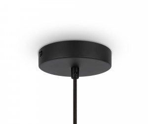 Подвесной светильник Maytoni MOD197PL-01W