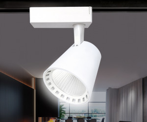 GL5975 WH белый LED 24W 4200K 24°