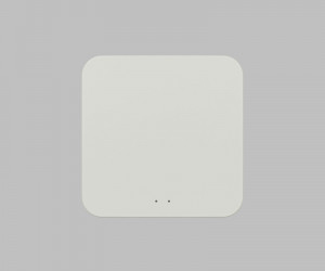 DK7402-WF Конвертер WiFi-Zigbee/BLE для умного дома, пластик, белый