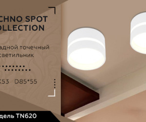 TN620 SWH белый песок GX53 D85*55