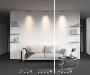 Трековый светильник Technical TR193-1-10W4K-M-B