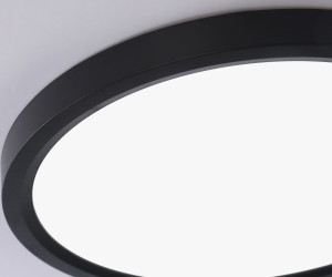 FZ1904 BK черный IP54 20W 3000K-6500K CCT-переключатель D300*25 (Без ПДУ)