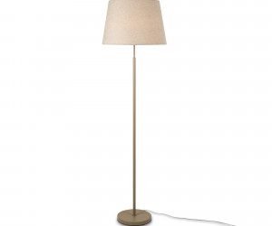 Напольный светильник (торшер) Freya FR2057FL-01BG