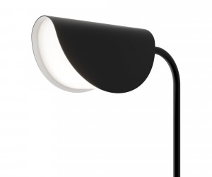 Напольный светильник (торшер) Maytoni MOD126FL-01B