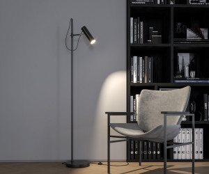 Напольный светильник (торшер) Maytoni MOD129FL-01B