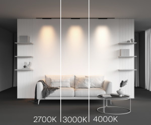 Трековый светильник Technical TR193-1-15W2.7K-M-B