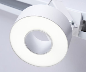 GL6861 WH белый LED 10W 4200K D75*80