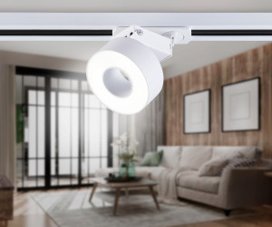 GL6861 WH белый LED 10W 4200K D75*80