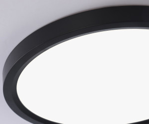 FZ1906 BK черный IP54 26W 3000K-6500K CCT-переключатель D370*25 (Без ПДУ)