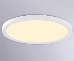 FZ1907 WH белый IP54 35W 3000K-6500K CCT-переключатель D450*25 (Без ПДУ)