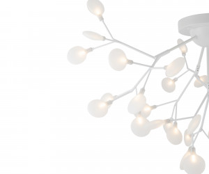 Потолочный светильник Freya FR5049CL-36W1