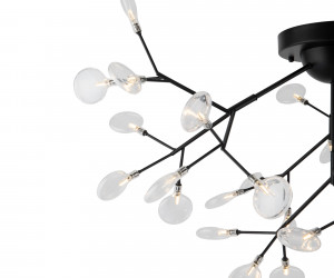 Потолочный светильник Freya FR5049CL-36B