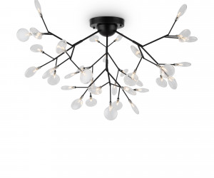 Потолочный светильник Freya FR5049CL-36B