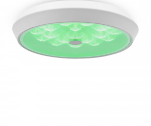 Потолочный светильник Freya FR10012CL-L24W