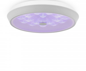 Потолочный светильник Freya FR10012CL-L24W