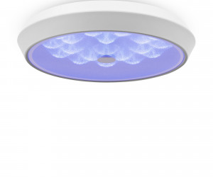 Потолочный светильник Freya FR10012CL-L24W