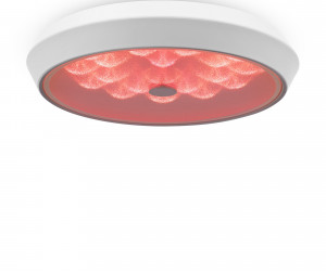 Потолочный светильник Freya FR10012CL-L24W