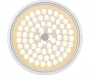Потолочный светильник Freya FR10012CL-L24W