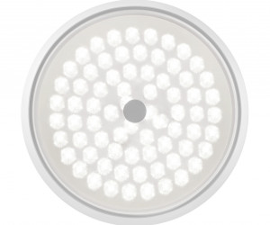 Потолочный светильник Freya FR10012CL-L24W