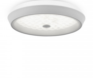 Потолочный светильник Freya FR10012CL-L24W