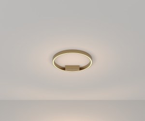 Потолочный светильник Maytoni MOD058CL-L25BS3K