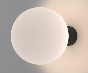 Настенный светильник (бра) Outdoor O598WL-01B1