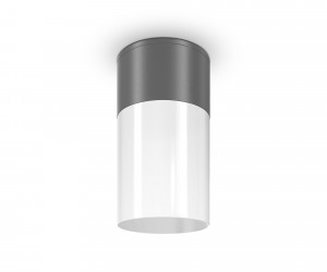 Потолочный светильник Outdoor O418CL-01GR